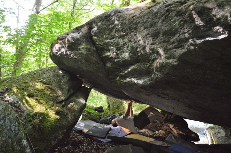 Cole matched on the start of "Under the Influence" (V6)