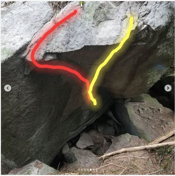 Forrest Hump - Red / Project - Yellow