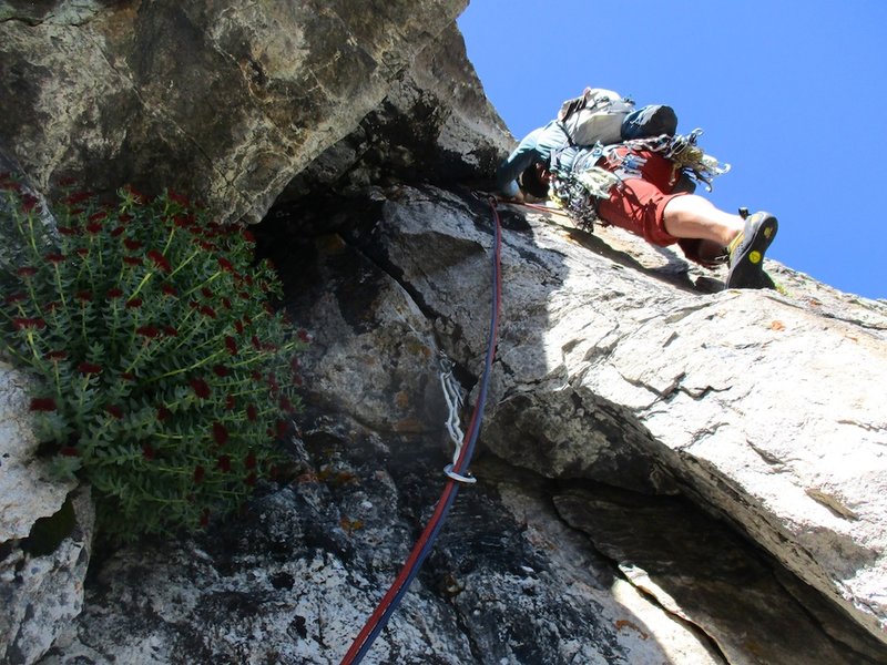 Starting off pitch 6.