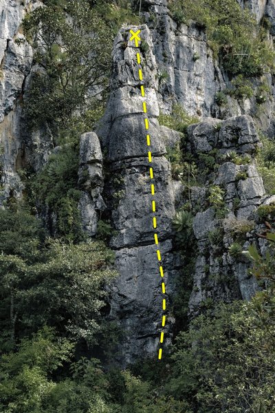 Torre Jenga