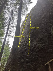 Emerald City and Staw Man- Correct?