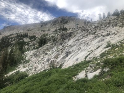 The slab of Sticky Geranium in the foreground of Tower 12 Crag.