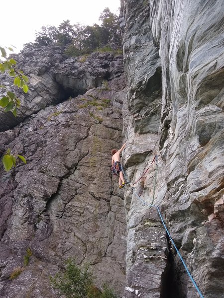 Right after the traverse on Zoo View