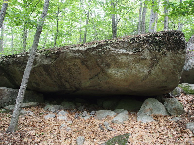 The South Side of Slab Dyno Boulder ....quite the hand traverse! (Uncleaned as of July 2020)