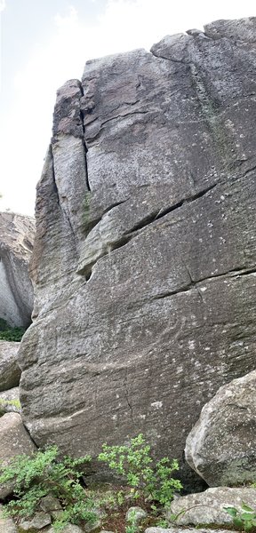 This crack is to the left of "My Pet Marmoset" it could also use a lot of brushing before it is climbable. This line is about 30 ft tall and is easily protect able.