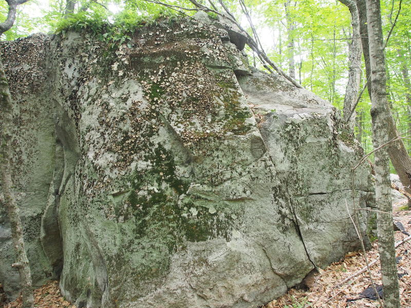 North Face of The Prow