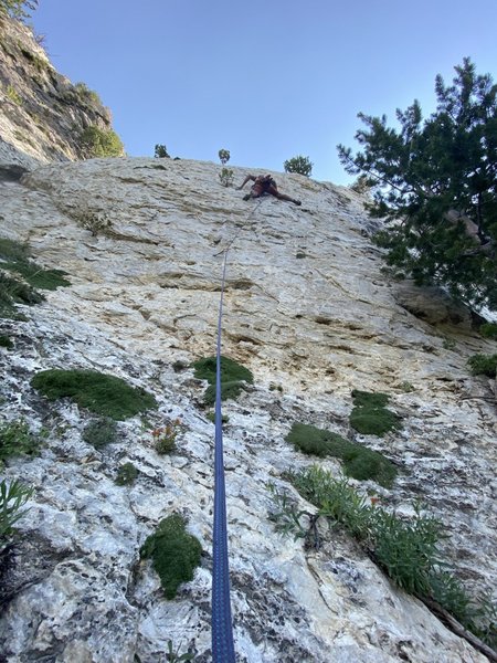 zac on the mega side pull pocket
