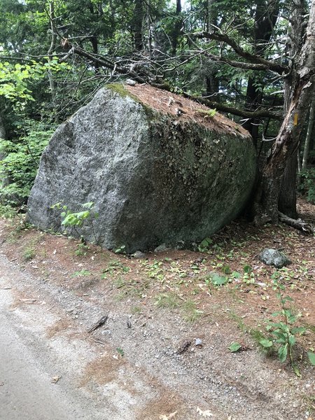 Pullogna