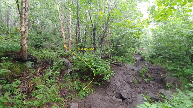 Trail to 'la coulée'. Leads to Gruyère and roofs. Connects to Wet dream and Tache blanche (longer).