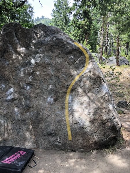 Direction of movement on Cowardly Lion.