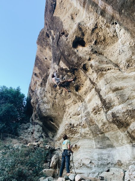 Tim Maas crushing.