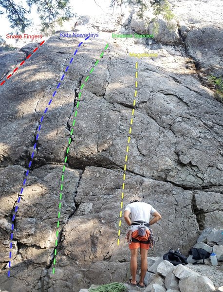 Fun Rock - Fun Wall (Snake Fingers to Cream)