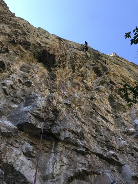In the kneebar rest before the crux.