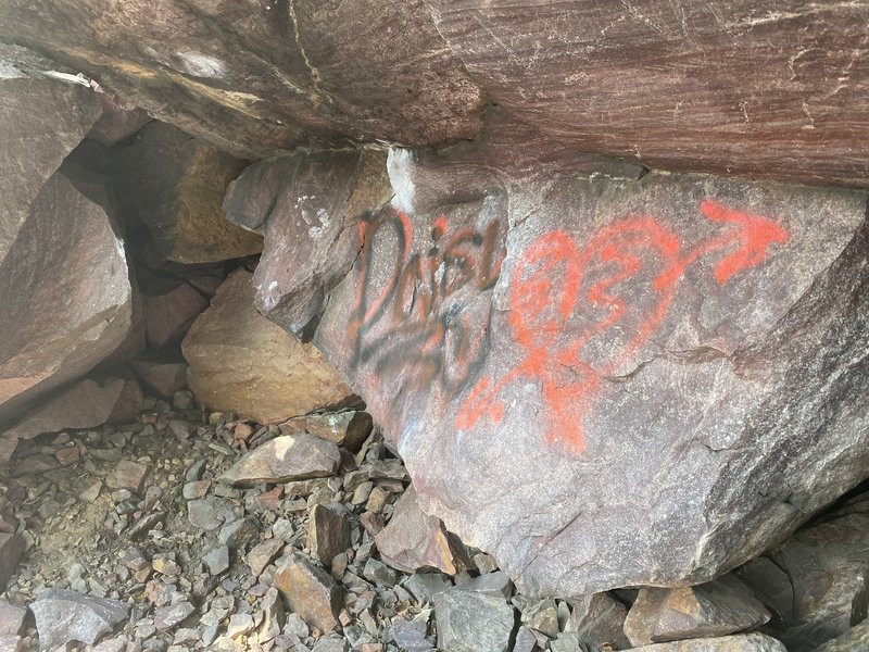 Bulbous Graffiti - 08/08/20