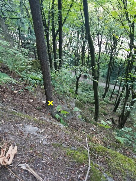 Photo from Glenn's Route anchors towards the highway. This tree is the anchor for Invisible Man and Temporary Arete below