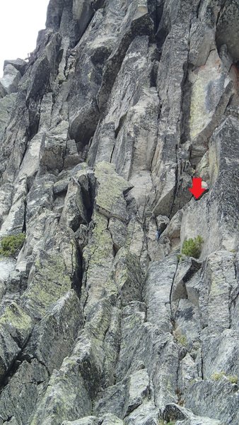 Standard route. Pitch 1. Belay ledge is noted with red arrow. Gear anchor. The living bush is just below the belay ledge and would make an okay belay ledge as well. Blue tat and old piton just to left of belay ledge Aug 2020