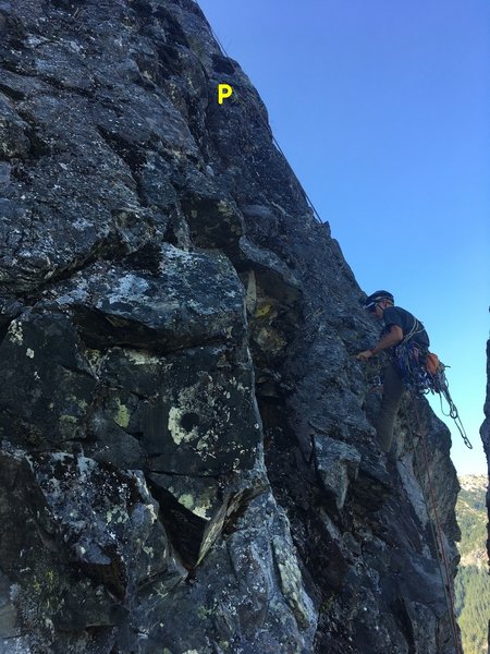 Christian scrubbing, photo taken from P4 belay. For route finding note the exposed fins next to Christian and yellow slung horn (Marked with "P") above.
