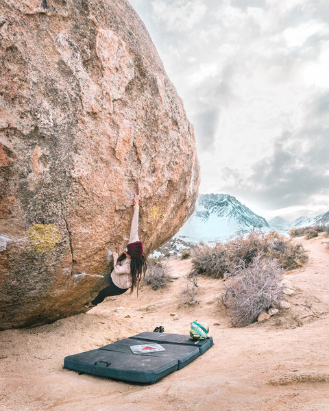 Sending perfectly Chicken v5
