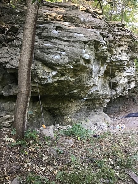 Stand start on the jugs to the right of the tree in this photo. Hike your foot up left and start pulling