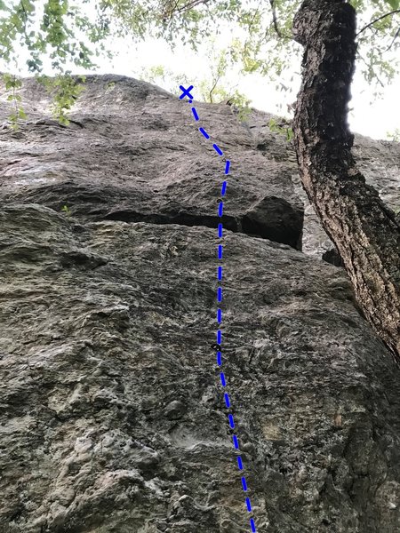 The Route