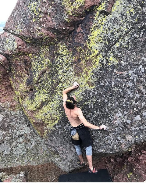 A move or 2 in.
<br>
<br>
Photo by Thao, 2019.