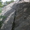 The "Before Cleaning" photo of the bottom Windfall Crack 7/24/20