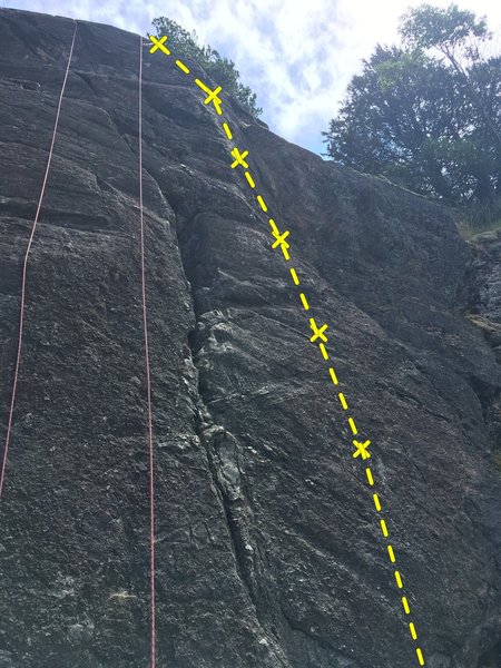 The crack is The Stinger. The bolted line to the right is That Darn Cat