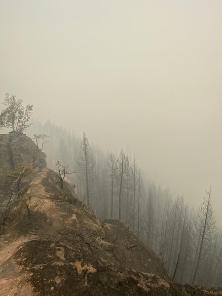 View from the South Comb after the Archie Creek Fire