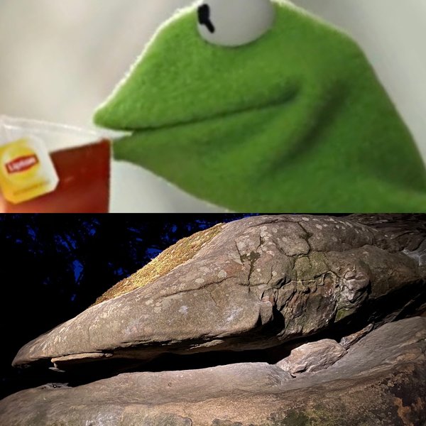 Kermit's reaction to his area getting redacted