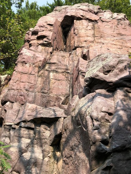 The Niche