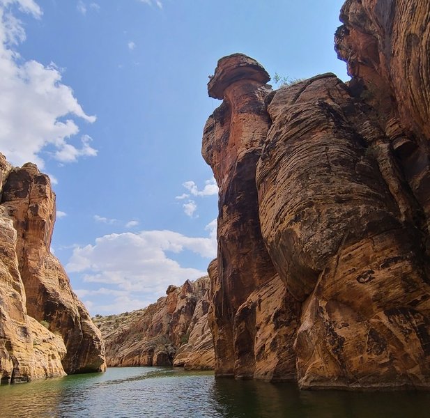 It's 59 feet to the surface of the rock ledge. I brought a steel tape measure with a heavy thing on the end. This comes as a shock because I had assumed it was 80 feet based on how ridiculously high it feels at the top, and when hitting the water.
