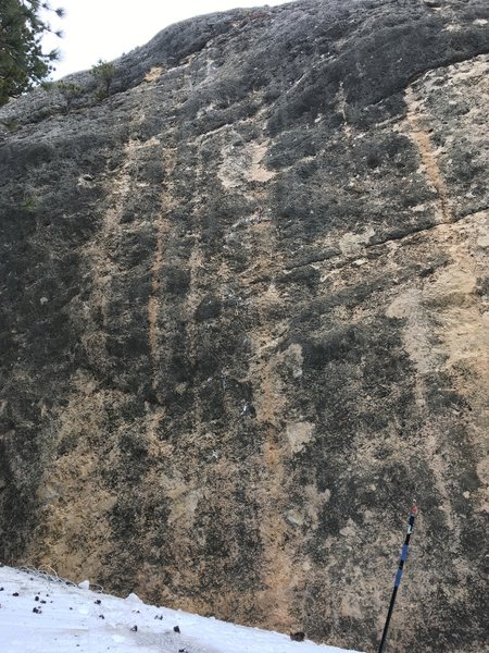 Line w/ draws