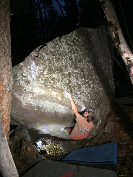 Night sesh