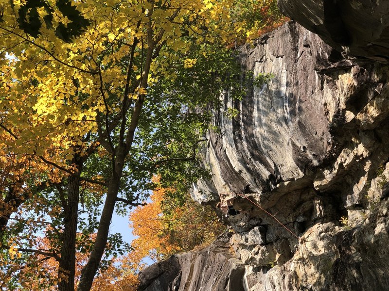 Rock Climb Gold Coast, *Rumney