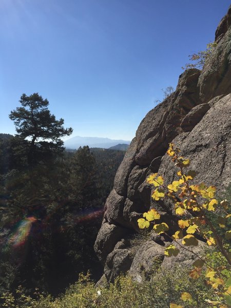 Looking to the left.