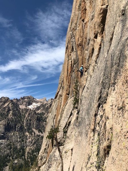 First pitch of Fine Line