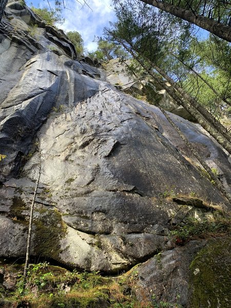 A side cut exposed quartz dyke. 180 degrees of geologic probability