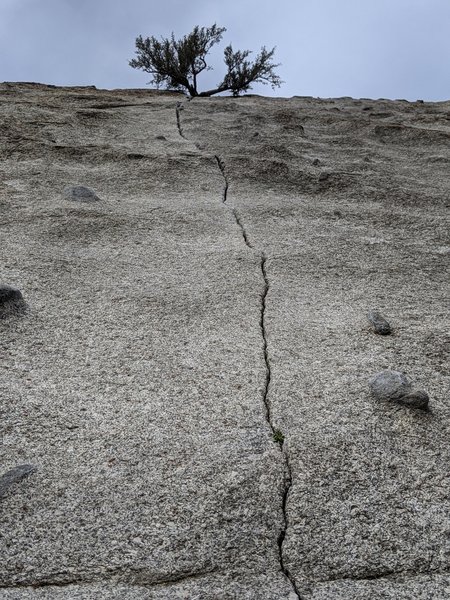 Pretty little crack