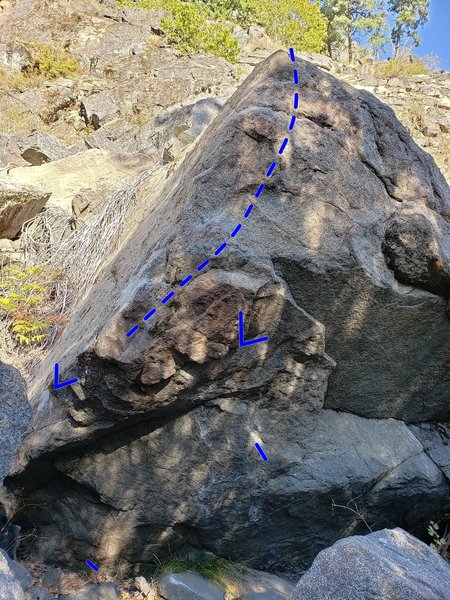 Tree Frog Style - V4
