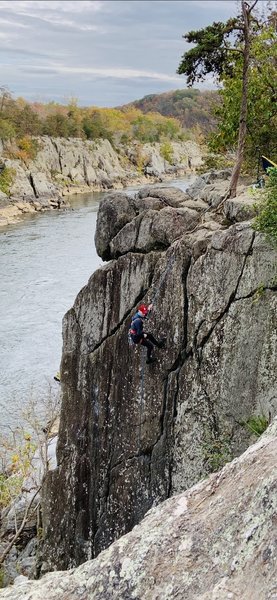 Tree alone + ~50ft of cord/webbing *might* be sufficient for the anchor here. For those w/ more cord, use additional tree to climber's right. In a pinch, I backed up w/ 2x tricams (brown and red) in the rock to the left.