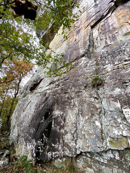 looking up at Flash Dance from the right.
