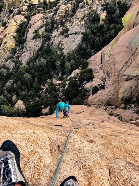 Amy Ferryman following the stellar Tears For Cholla.