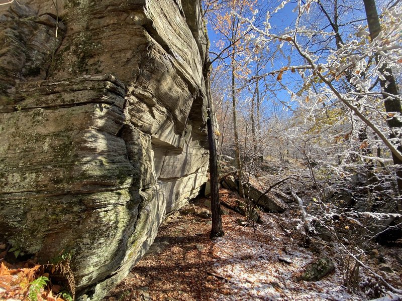 10/31/20 Happy Halloween from Rose Ledge.