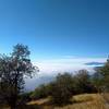 Clouds below the rim, San Bernardino Mountains