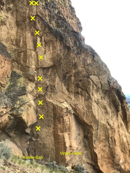 Koalie-San, the north face of Koala Rock