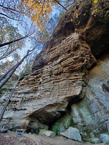 Rock Climb Lights Out Red River Gorge