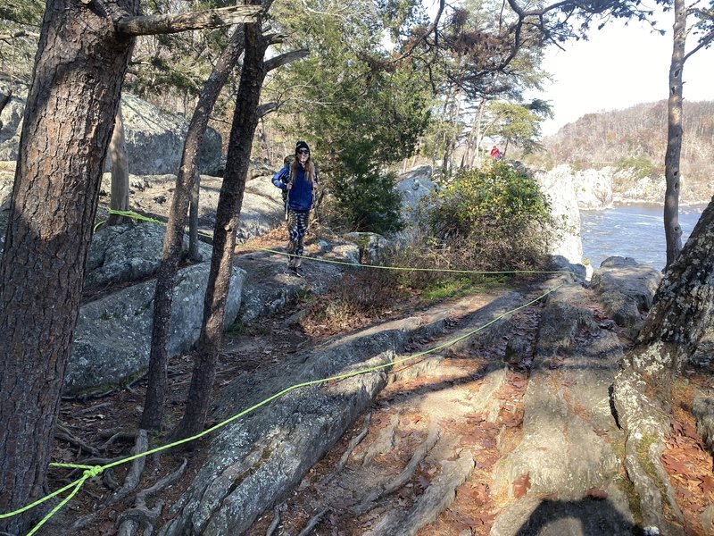 Needed a long rope for top rope setup. The two trees on the right of the photo are dead