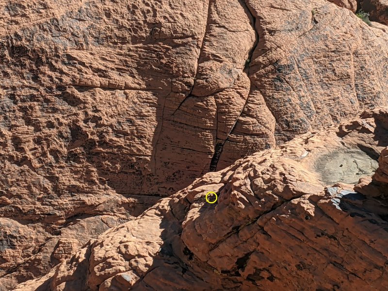 Anchors for rap into gully off backside of Bewitched climb. Hunter S. Thompson dome seen in the background.