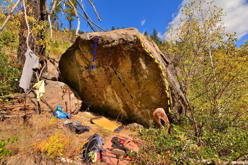 Hilltop Boulder:
<br>
Blue - Dyno
<br>
Black - Project
<br>
Yellow - Hilltop Shogun