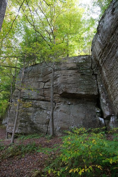 The Dam Wall